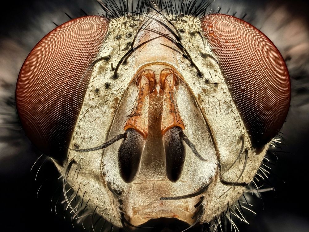 Фотография автора what.fred.saw