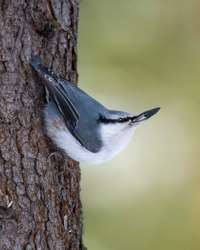 Photograph by Екатерина Дубровская