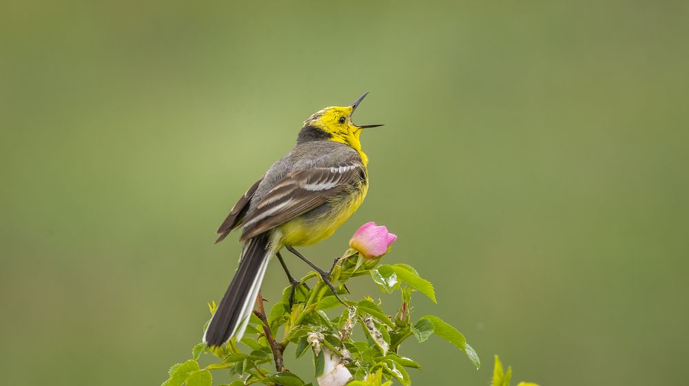 Photograph by АЛЕКСАНДР ПОПИК