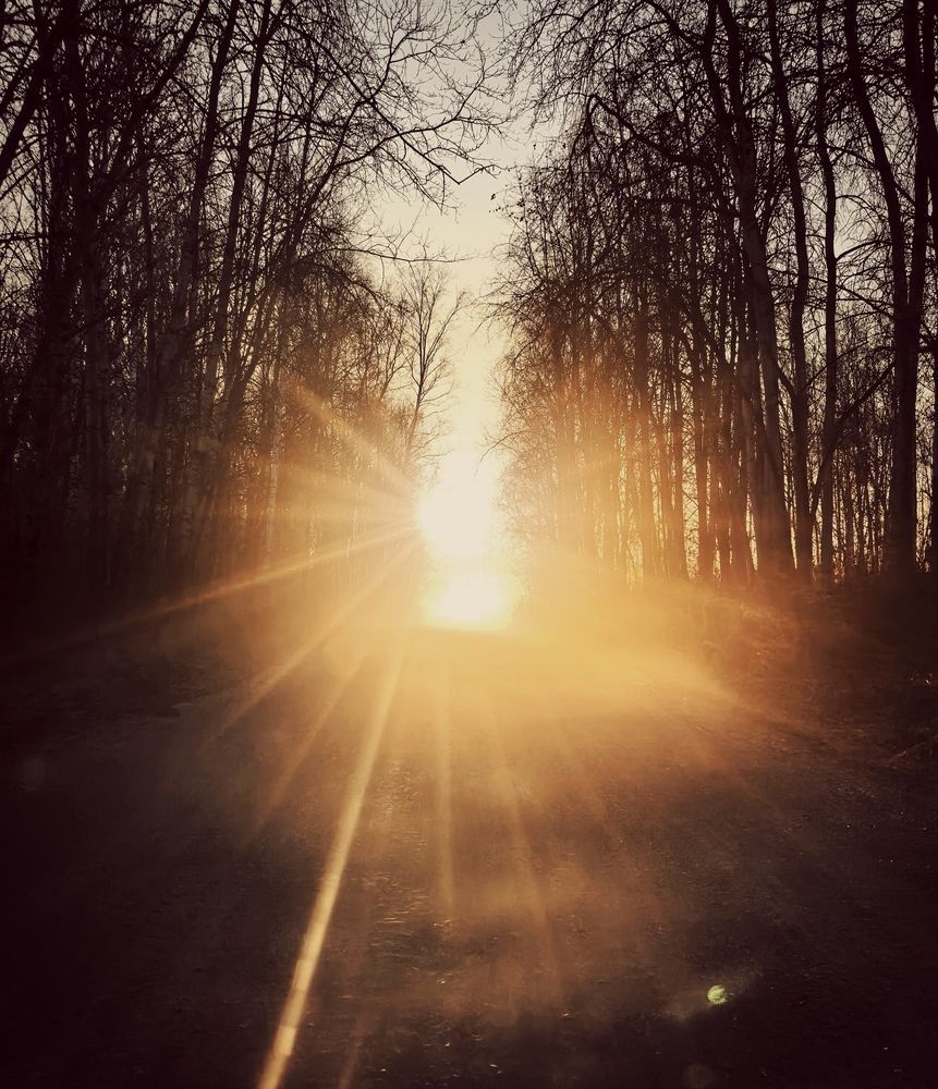 Photograph by Yulia Orina