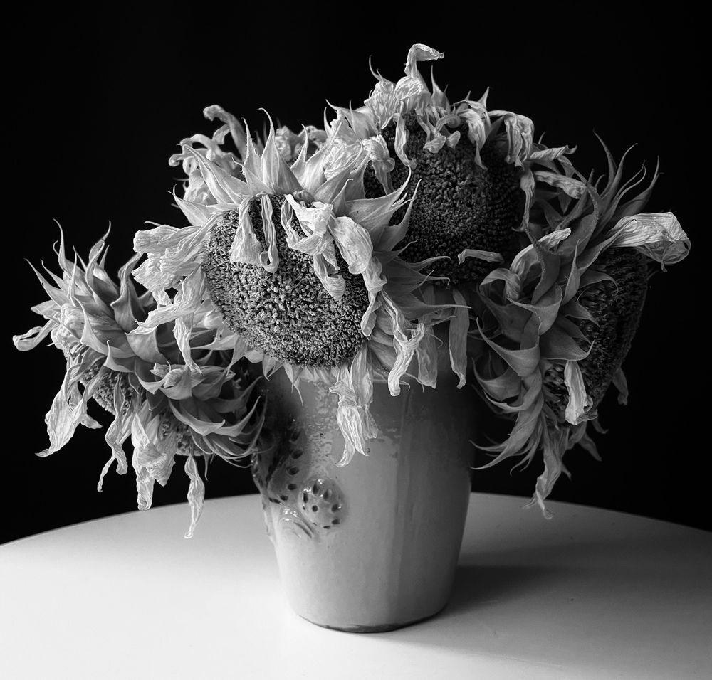 Photograph by Рамзия Хисамутдинова