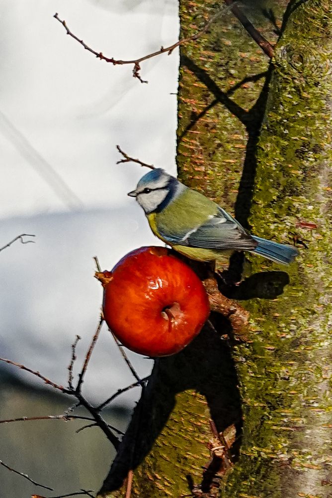 Photograph by Светлана Каравайская