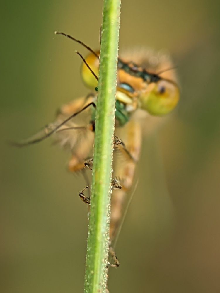 Photograph by Sai Krishna