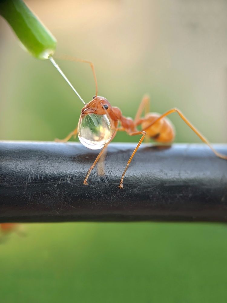 Photograph by Sai Krishna