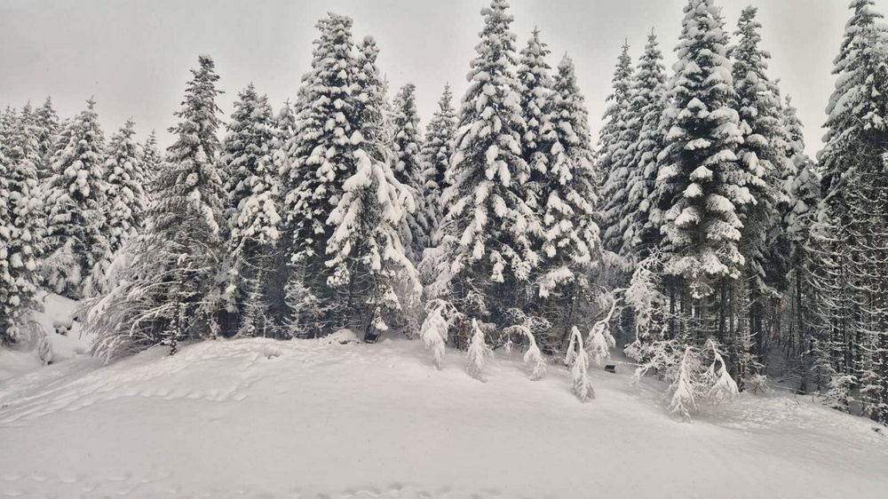 Photograph by Игорь Лотыш