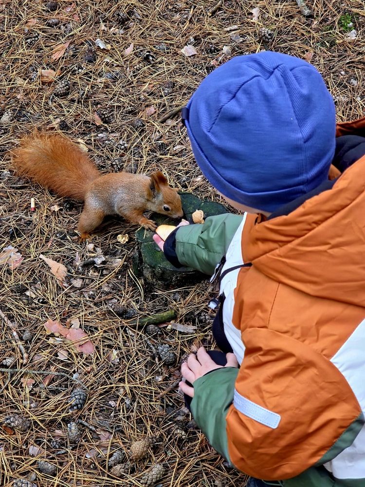 Photograph by Куделенко Оксана