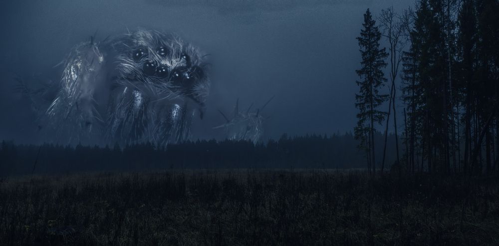 Фотография автора Вадим Андреев