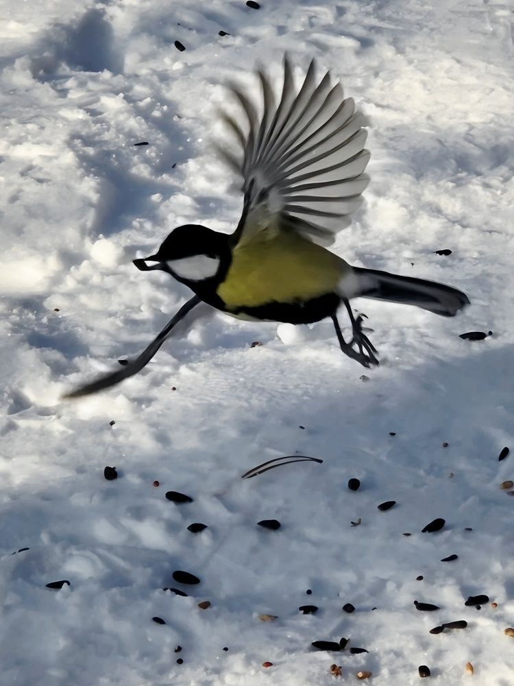 Photograph by Куделенко Оксана