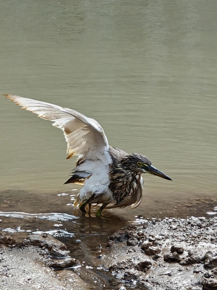 Photograph by Sai Krishna