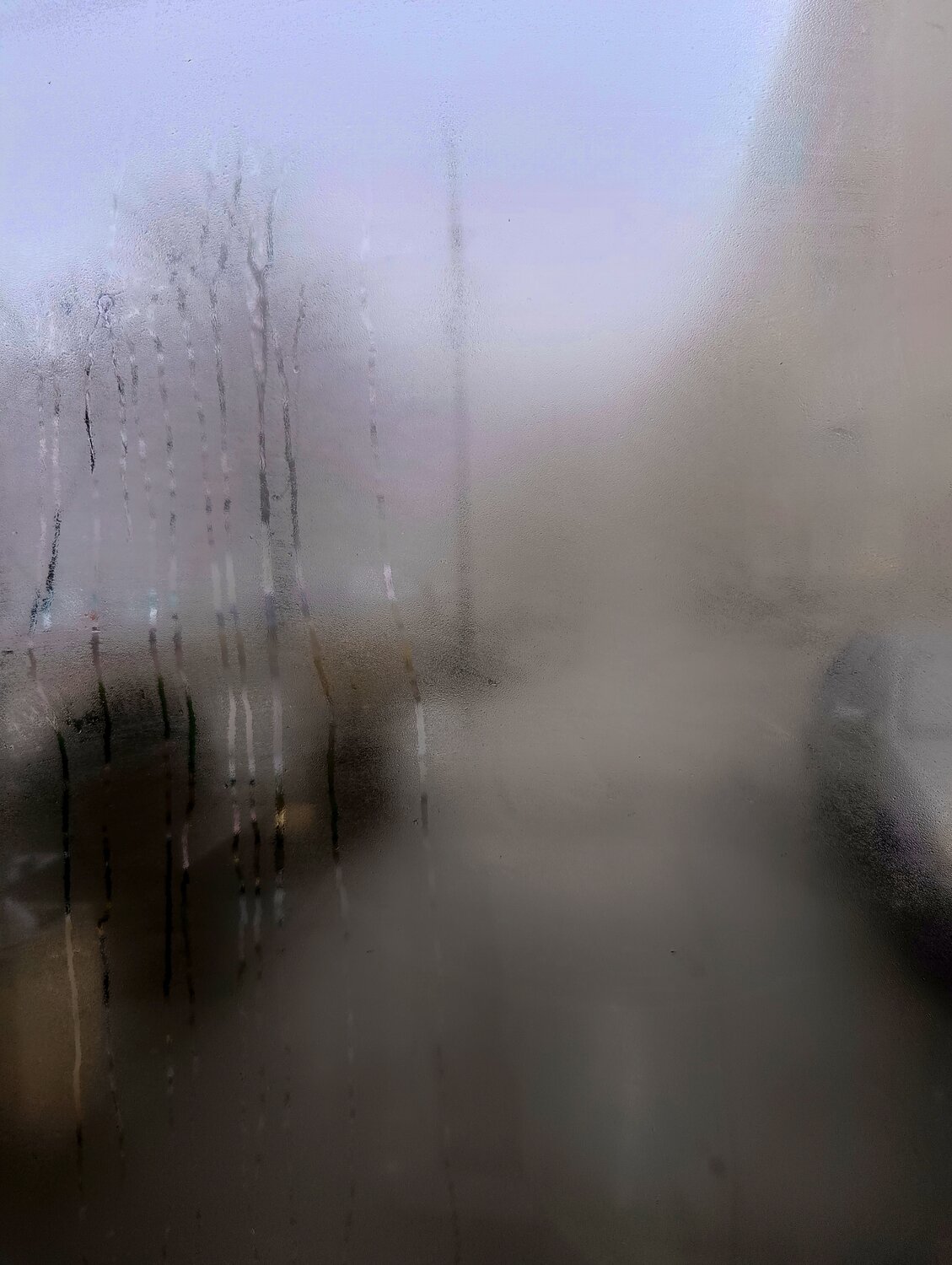 Photo #13147725