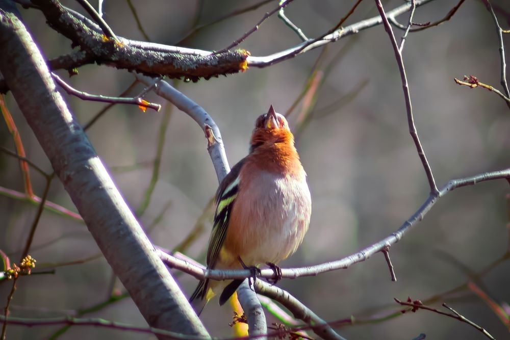 Photograph by Сергей Кочетов