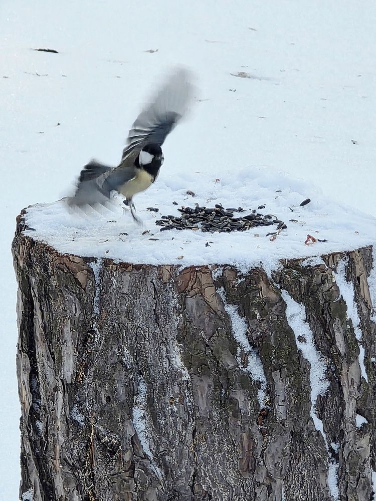 Photograph by Куделенко Оксана