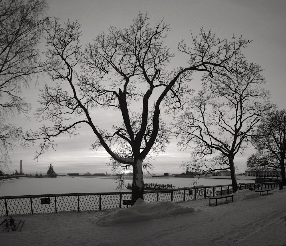 Photograph by Сергей Григорьев