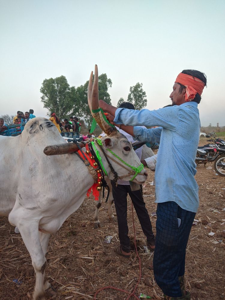 Фотография автора Vijayakumar