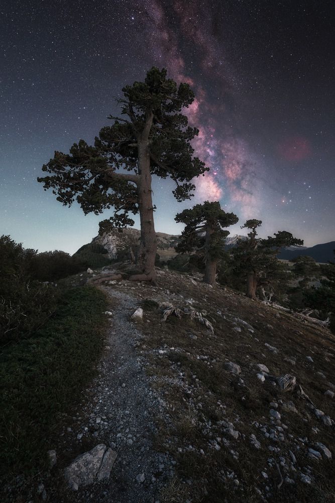 Photograph by Francesco Dimonte