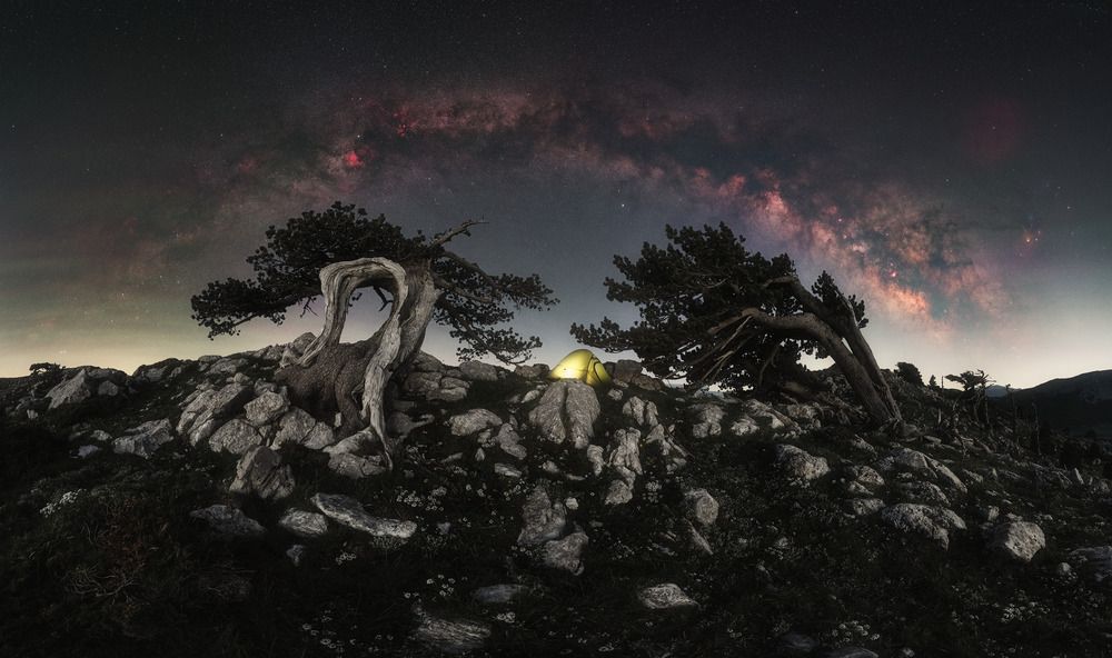 Photograph by Francesco Dimonte