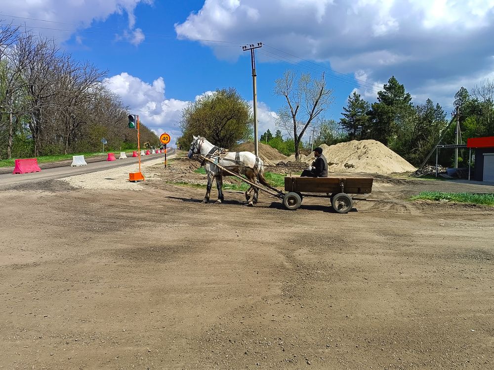 Photograph by Михаил Медведев