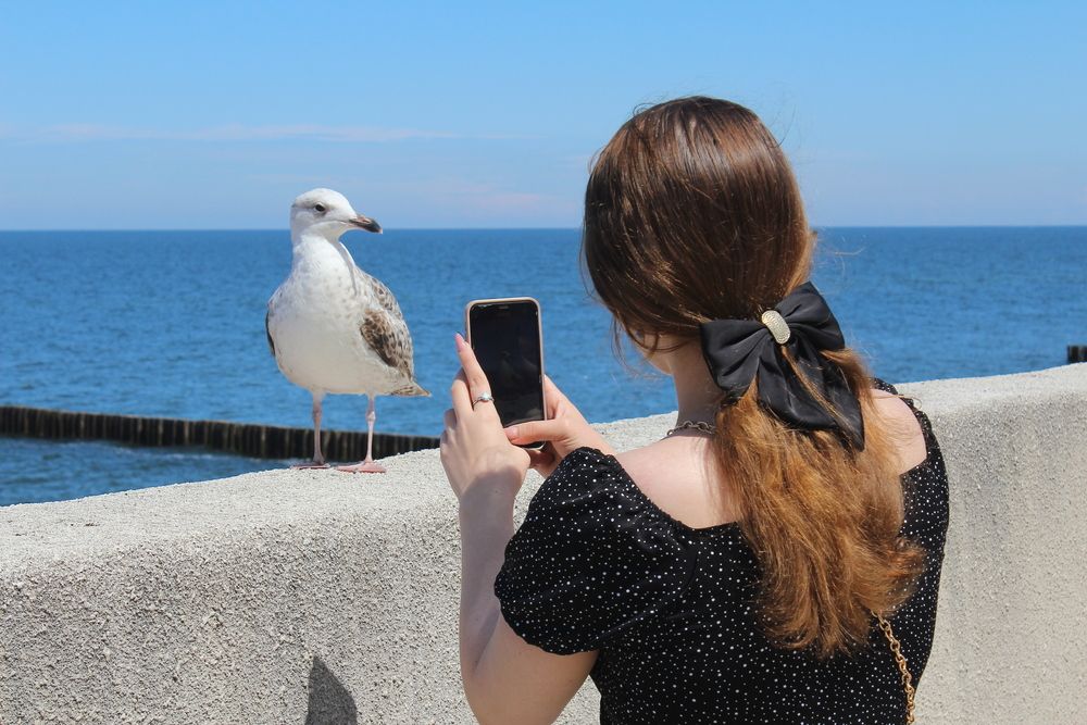 Photograph by Наталья Волкова