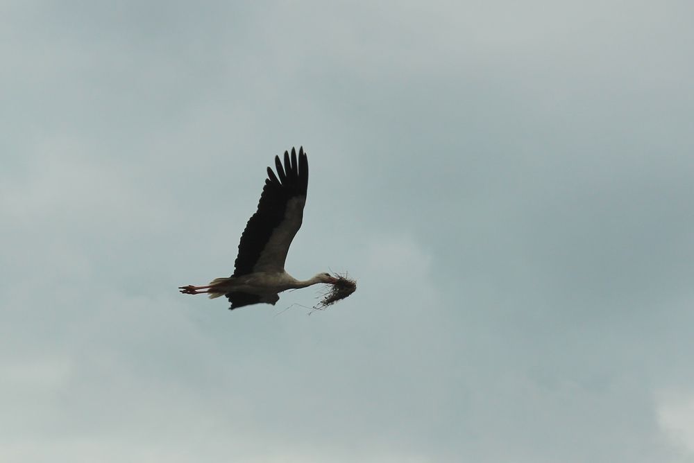 Photograph by Наталья Волкова