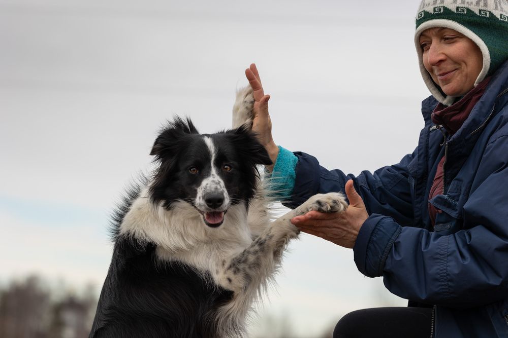 Photograph by Наталья Кирина