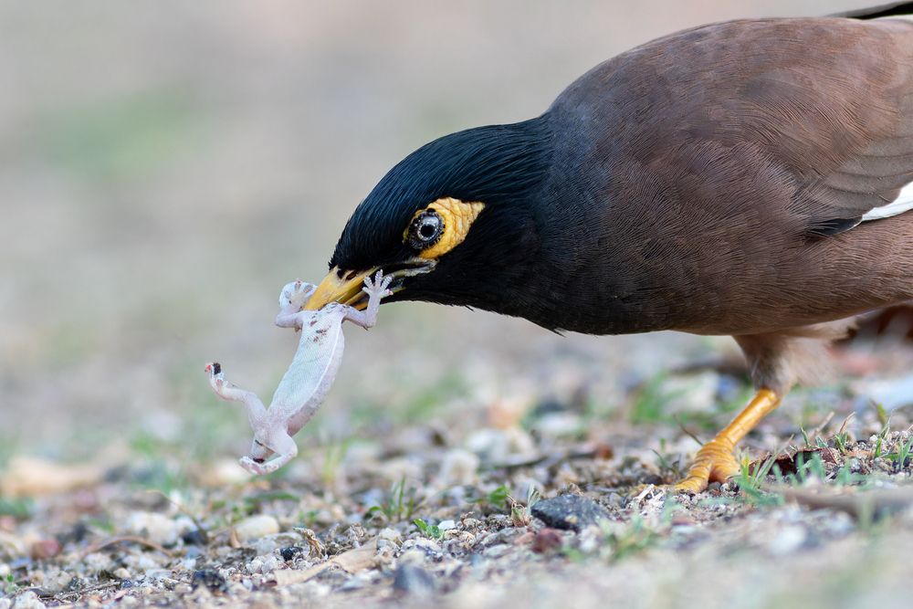 Photograph by Гурьевских Евгений