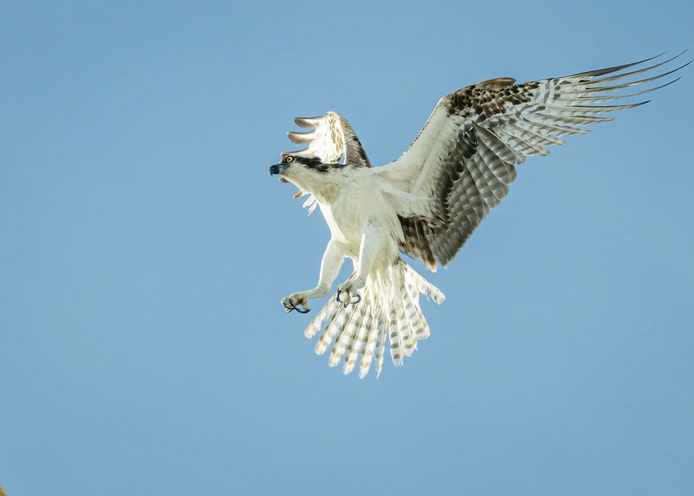 Фотография автора Erik Nelson