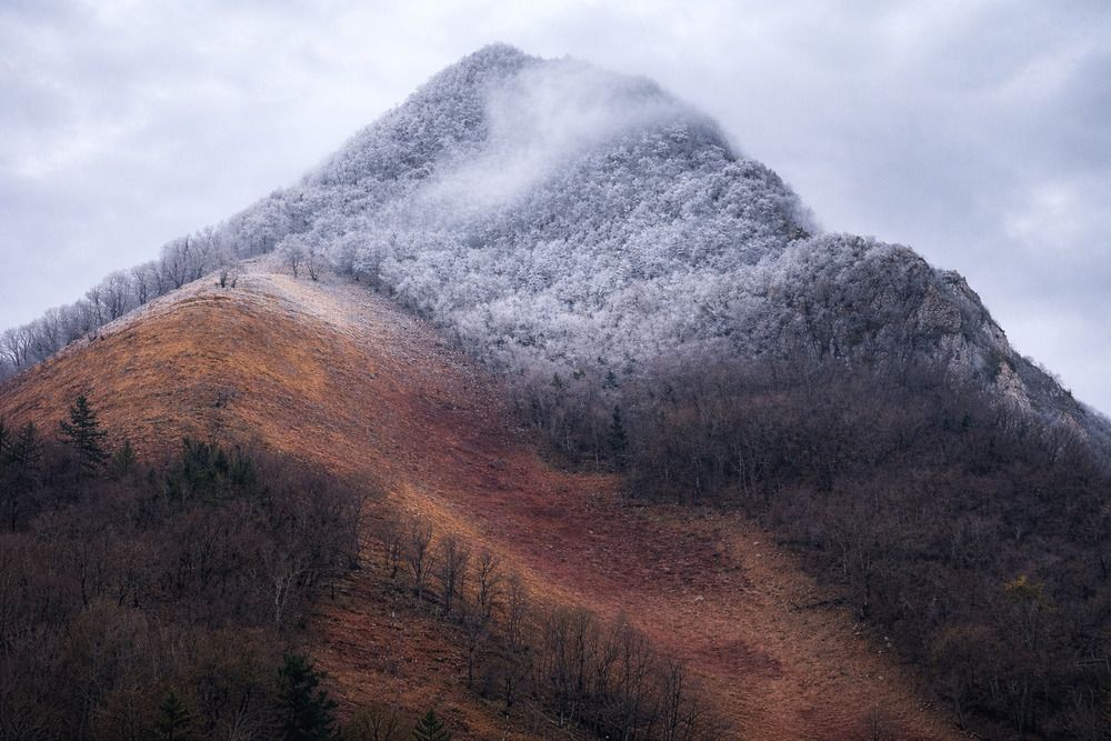 Photograph by Edgar Guillén