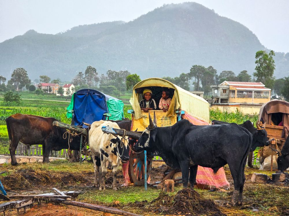 Photograph by Ismail Hassanaly