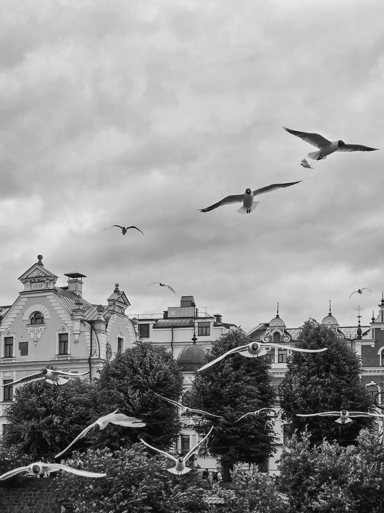 Photograph by Игорь Кабанов