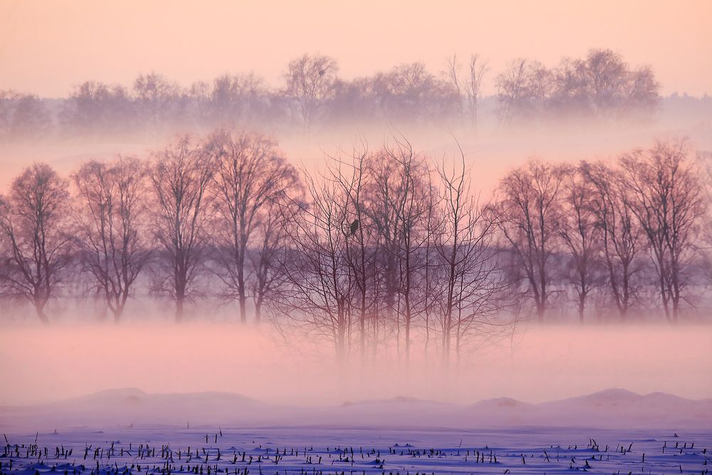 Исчезающий вечер.