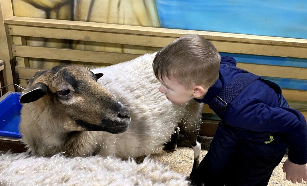 Photograph by Виталий Иванов