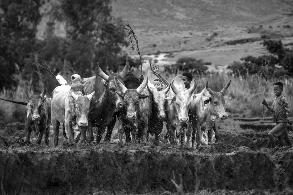 Photograph by Ismail Hassanaly