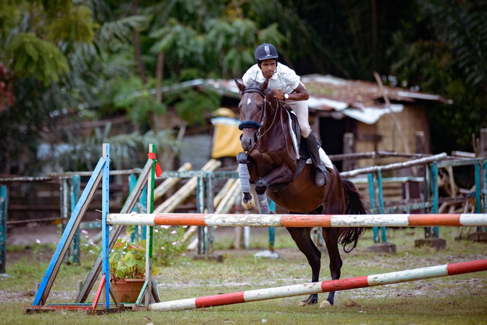 Photograph by Ismail Hassanaly