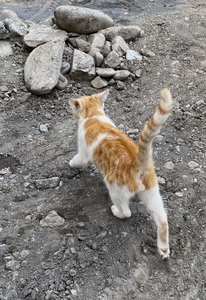 Photograph by Алиса Лукина