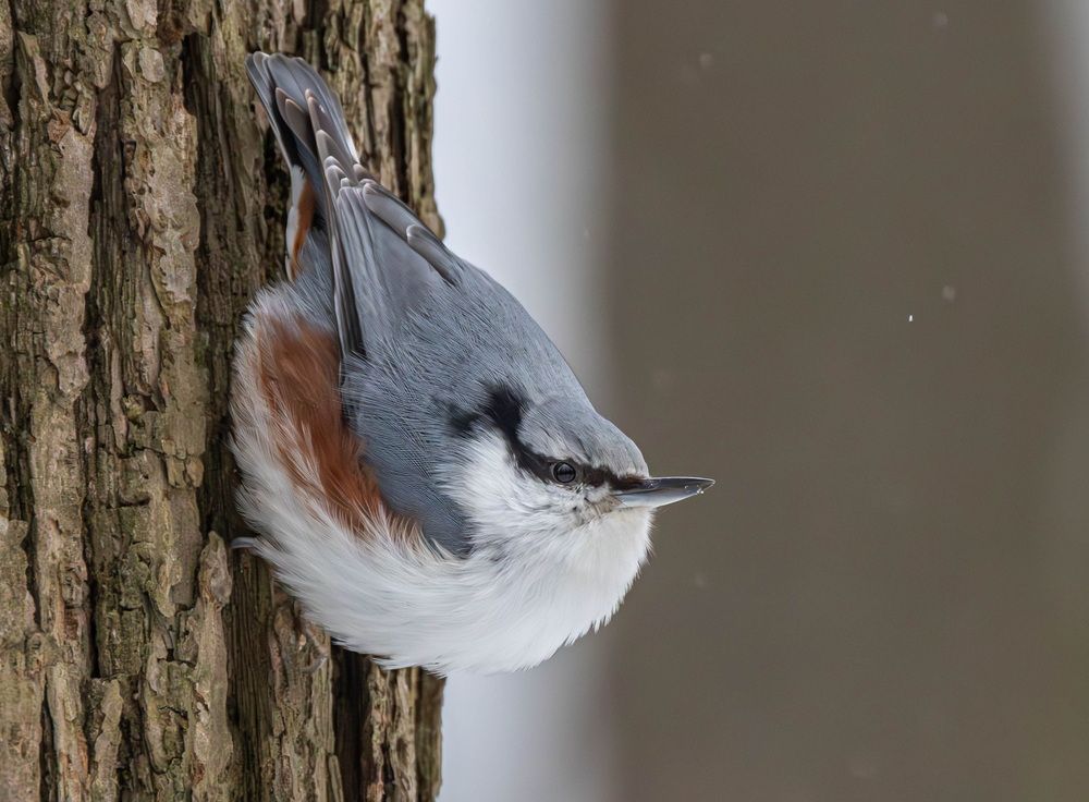 Photograph by Волынский Виктор