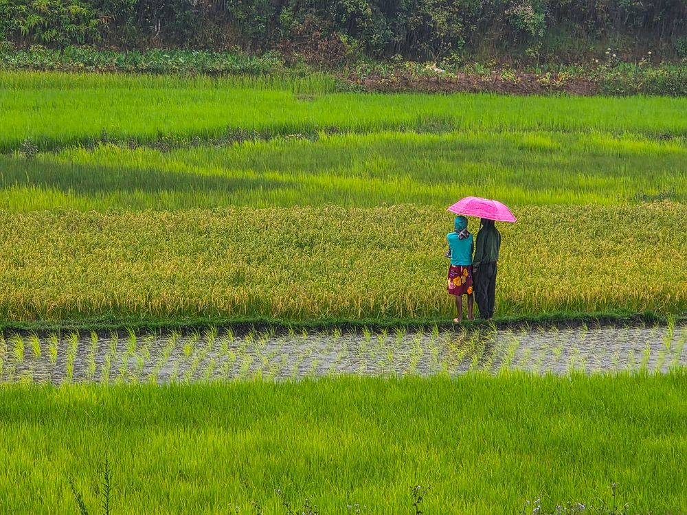 Photograph by Ismail Hassanaly