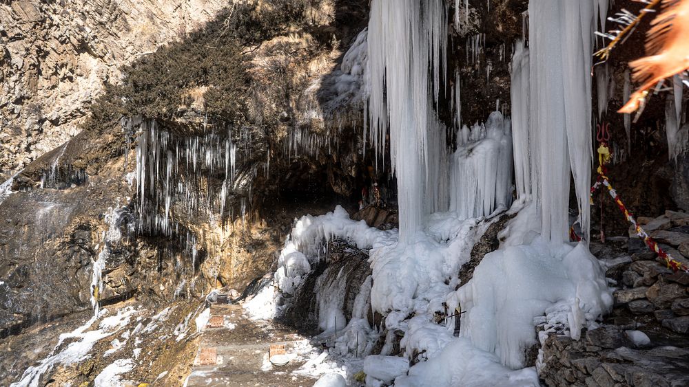 Фотография автора savitri Rawat