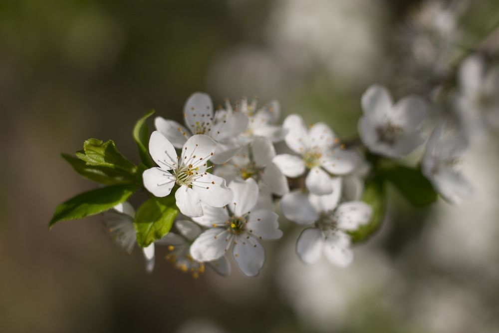 Photograph by Olga Buzuleva
