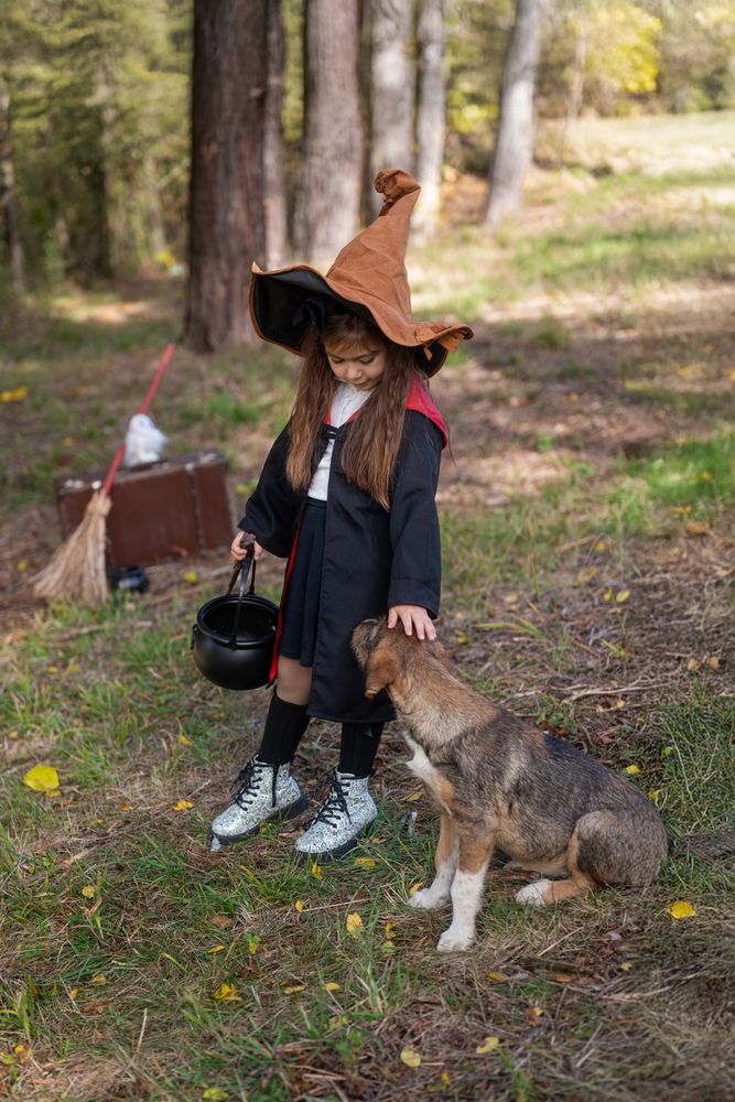 Photograph by Miglena Koeva