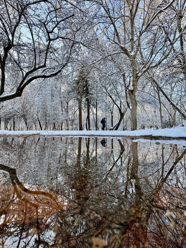 Фотография автора Юлия Голубкова