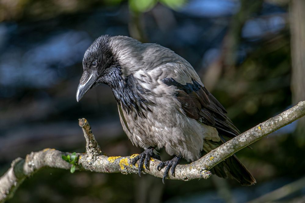 Photograph by Волынский Виктор