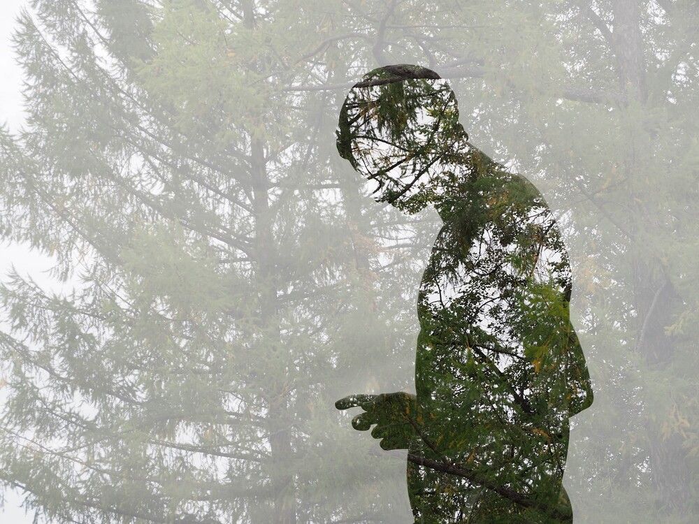 Photograph by Татьяна