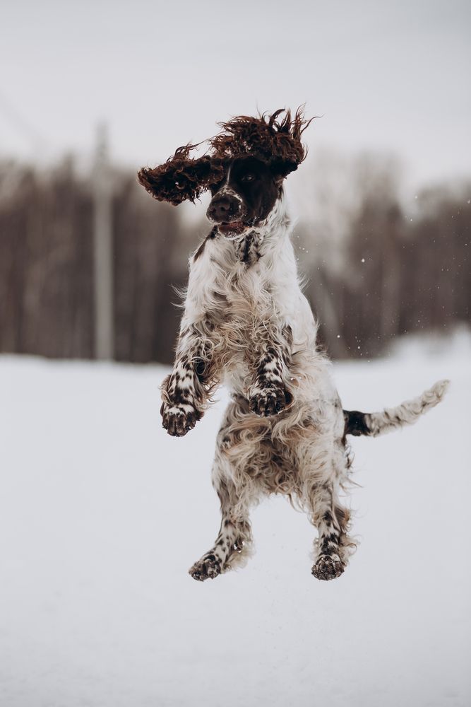 Photograph by Алиса Пономаренко