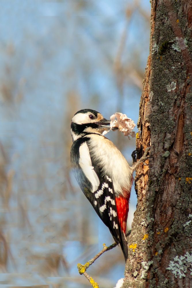 Фотография автора Наталья Липовская