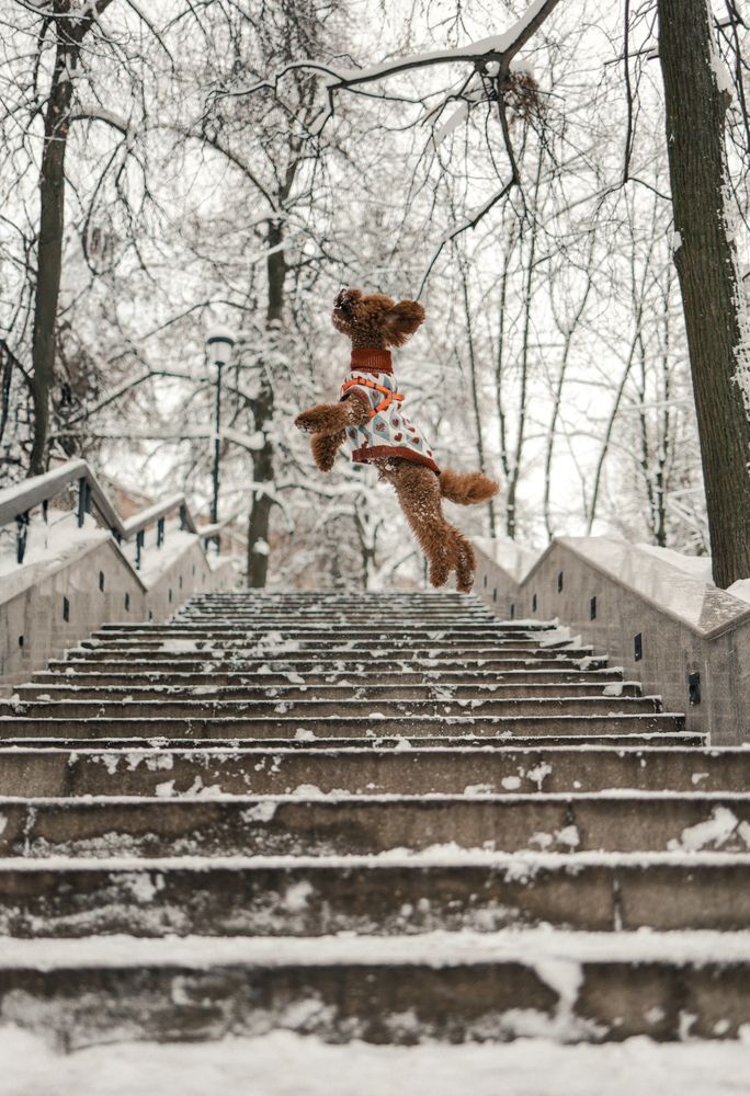 Photograph by Михаил Лапшин