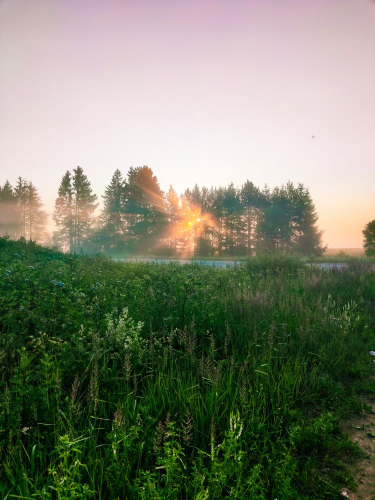 Photograph by Екатерина Горчилина