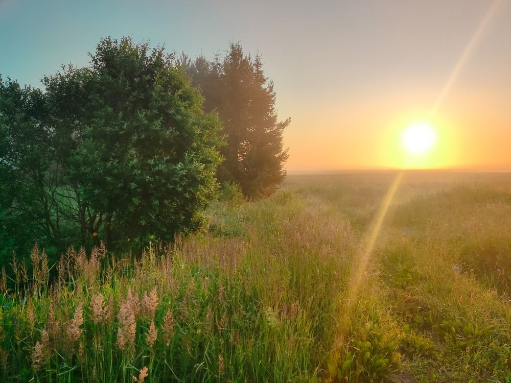 Photograph by Екатерина Горчилина