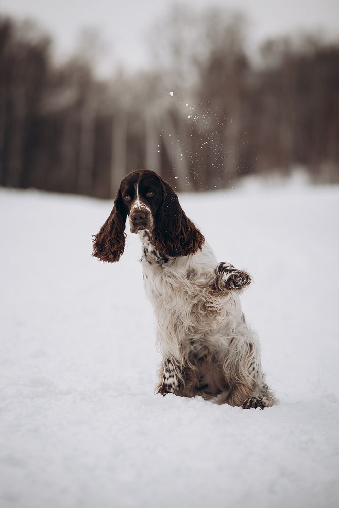 Photograph by Алиса Пономаренко