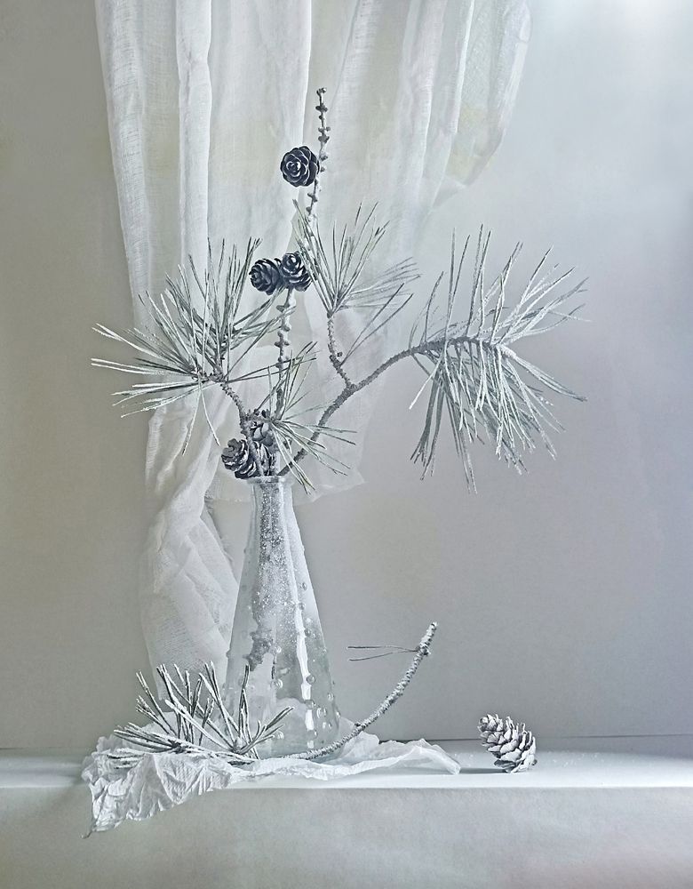 Photograph by Жанна Вахрамеева