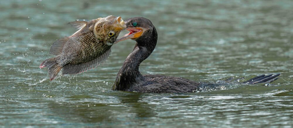 Photograph by Alberto Camardiel